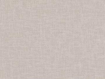 plain cloth 3d model