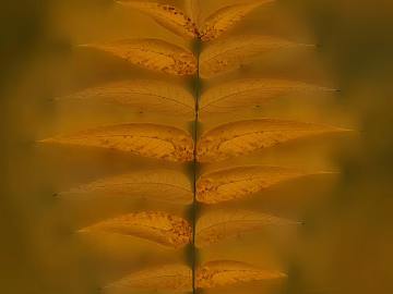 Yellow compound leaf plant decorative material texture (ID:ffaeh844289)