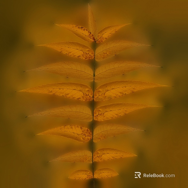Yellow compound leaf plant decorative material texture