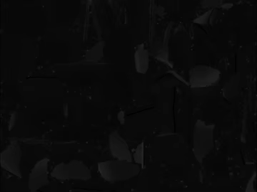 Black Black and White Bump Map texture (ID:ffaeh084271)
