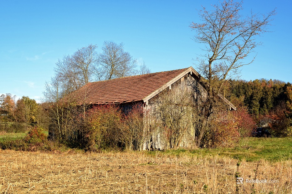 Wooden House texture