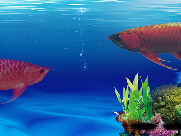 Fish tank texture (ID:ffacg81714)