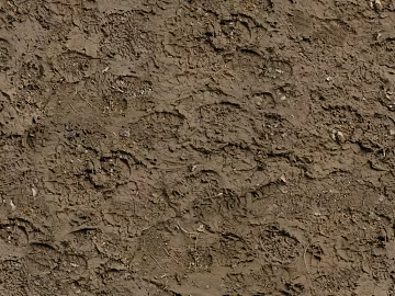 Mud ground texture (ID:ffhee384)