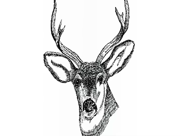 Animal painting texture (ID:ffagg78953)