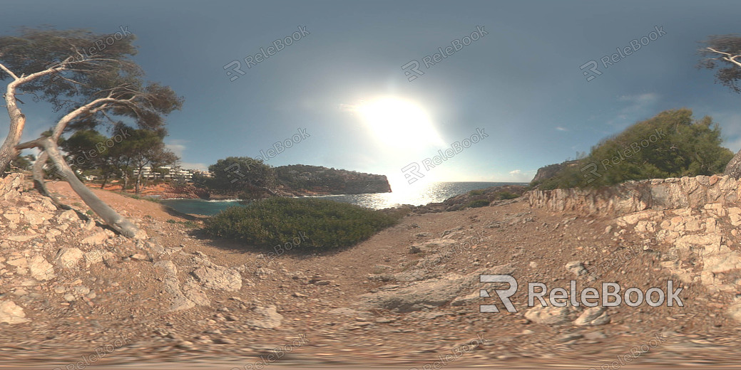 wild hdri texture