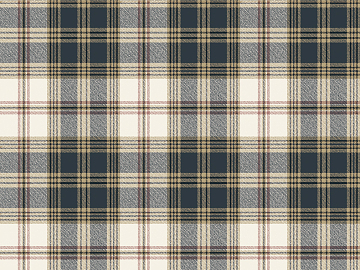 Plaid texture (ID:ffajg08301)