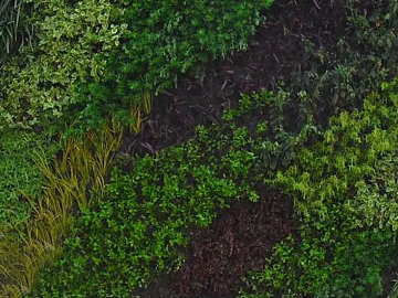 Plants texture (ID:ffabg78940)