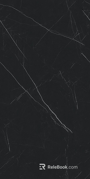 modern minimalist black and white root marble texture