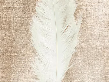 Plain pattern carpet texture (ID:ffagg02213)