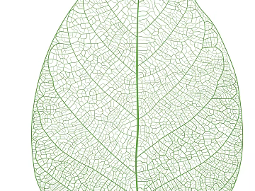 leaves texture (ID:ffaeg90754)