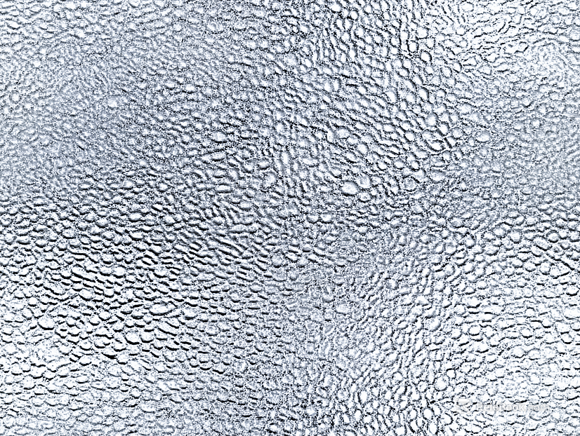 Black and White Bump texture