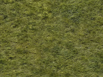 Turf texture (ID:ffach075910)