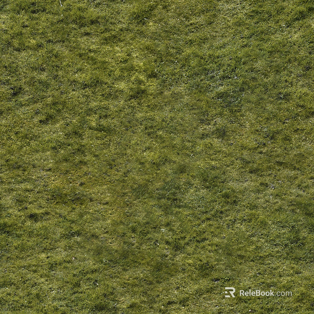 Turf texture