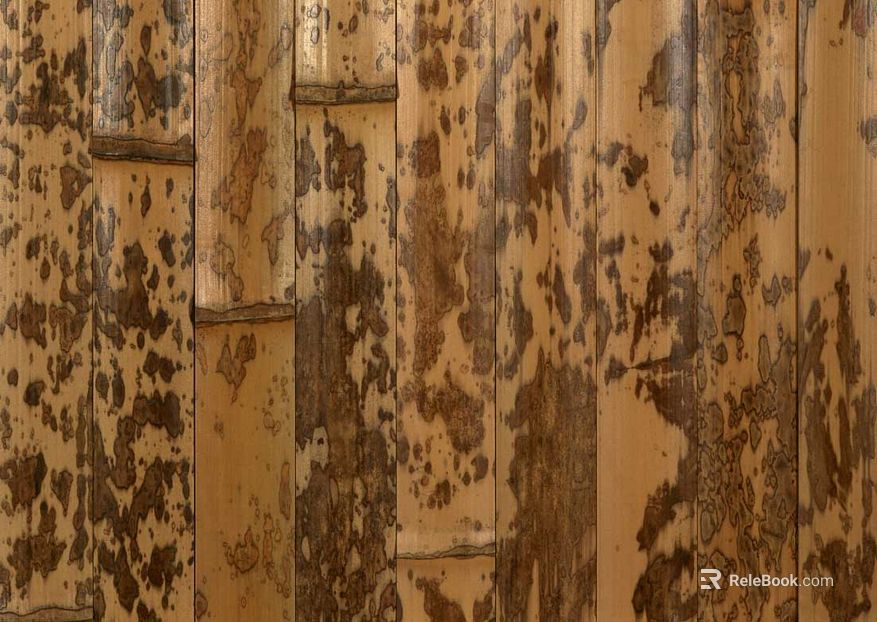 Bamboo texture