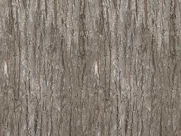 bark texture (ID:ffagg36516)