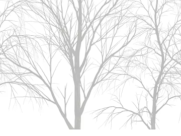 Plant painting 3d model