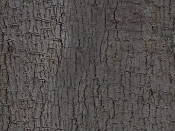 bark texture (ID:ffaeg17206)