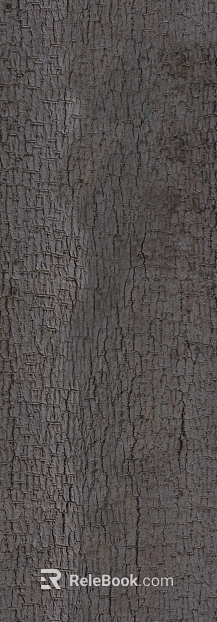 bark texture