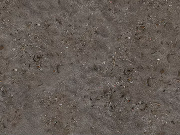 Sand texture (ID:ffach548565)