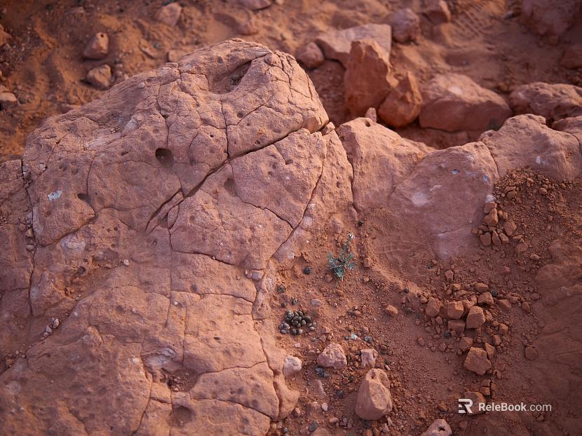 Mud texture