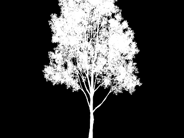 Plant Black and White Map texture (ID:ffaef4474)