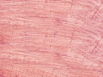 wood grain texture (ID:ffach127491)