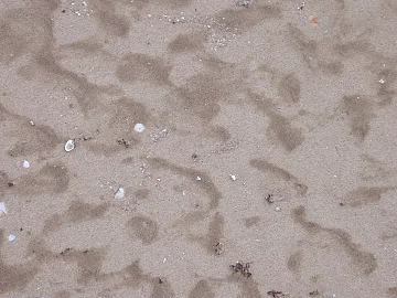 Sand texture (ID:ffaeg66208)