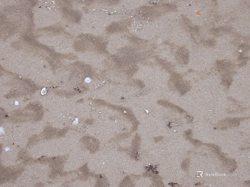 Sand texture