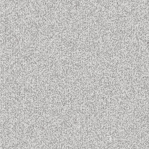 Light Gray Textured Paint Wall Coating texture