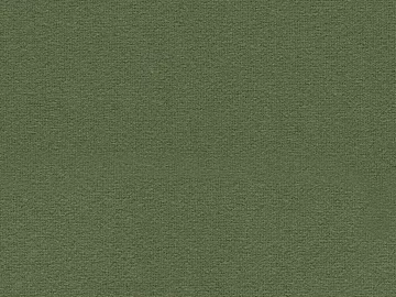 Plain fabric texture (ID:ffaeh826621)