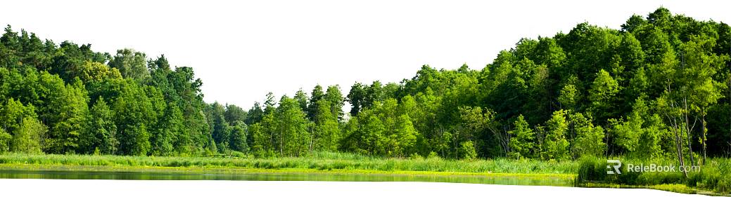 Green Lakeside Forest Exterior Map texture