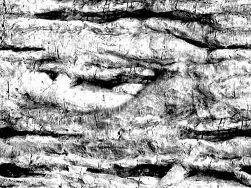 Black and White Bump texture (ID:ffacg72133)