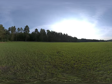 Outdoor Country Lawn Forest Daytime HDR texture (ID:ffabg19441)