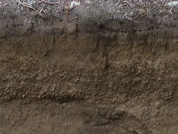 Brown soil outdoor ground texture (ID:ffaeh547026)
