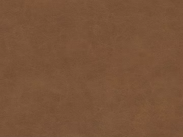 fine grain leather texture (ID:ffaag87762)