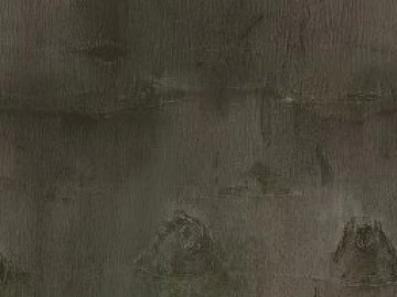 Dark gray bark textured wall finish (ID:ffaeh547741)