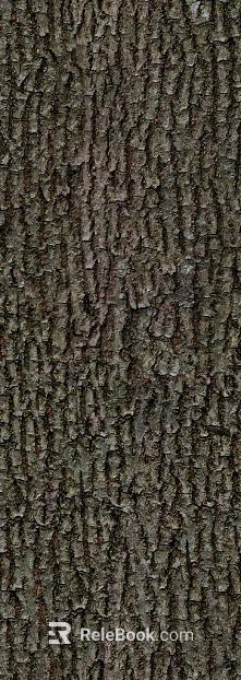 bark texture
