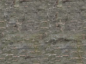 bark texture (ID:ffaef5190)