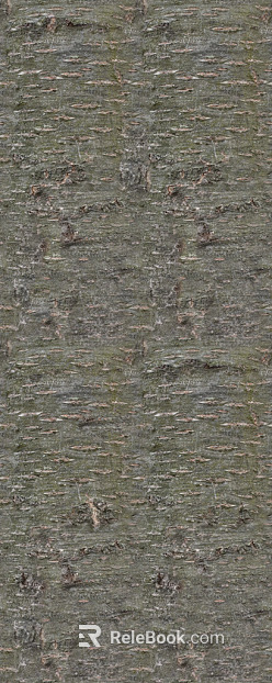 bark texture