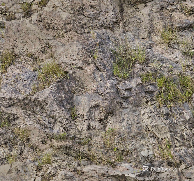 Culture stone long grass rock rubble texture