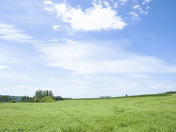 Wild Scenery texture (ID:ffajg45301)