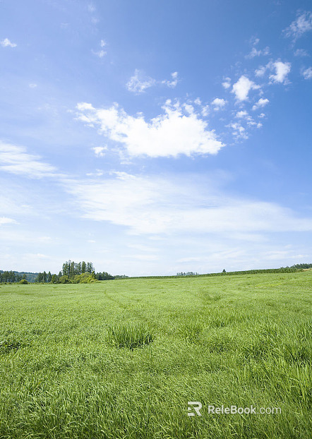 Wild Scenery texture