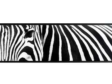 Animal painting texture (ID:ffagg76366)