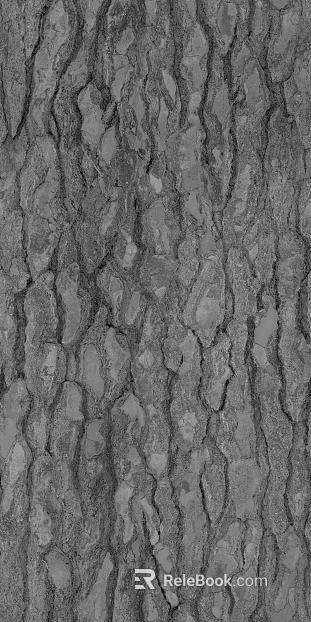 bark texture