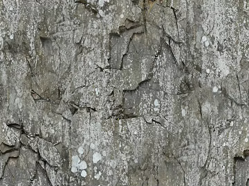 Rock texture (ID:ffabg98130)