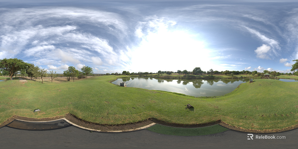 Wild Lawn Lake Daytime texture