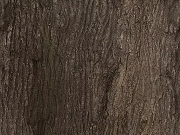bark 3d model