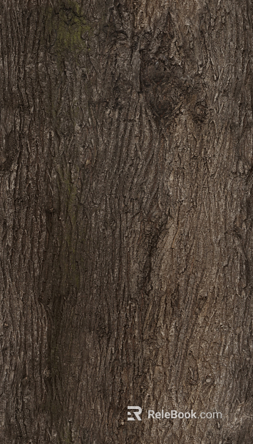 bark texture