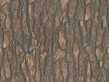 bark texture (ID:ffaag60845)