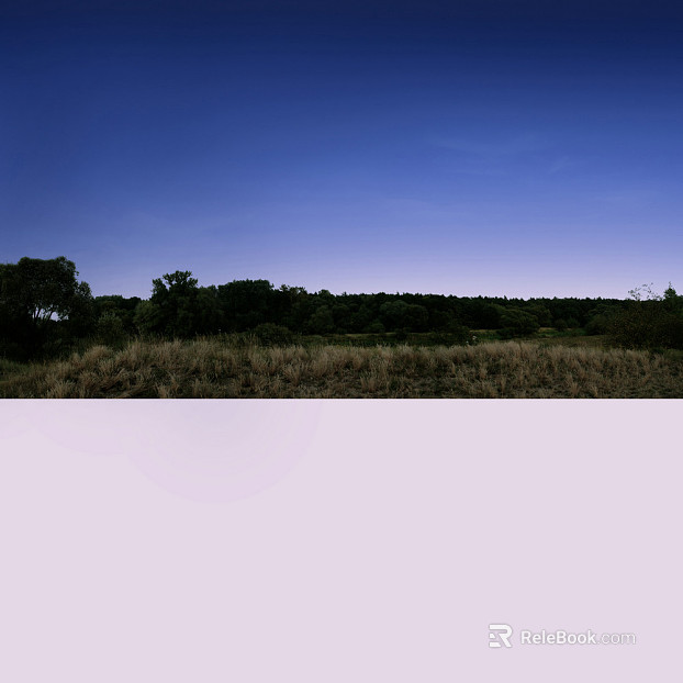 Wild Scenery texture